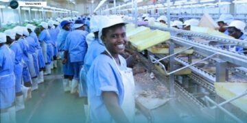 Commerce Ministry Acknowledges Gap in National Labour Workforce Data