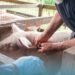 MALD STRENGTHENS LIVESTOCK HEALTH SERVICES IN MALAITA