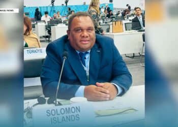 Minister Wasi Calls for Innovative Financing at COP17