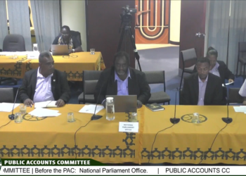 PARLIAMENT PURSUES DIGITAL UPGRADE, PAC TOLD