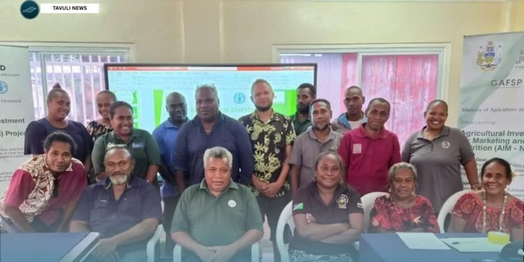 AIM-N Project Undertakes Value Chain Mapping and Provincial Stakeholder Workshop in Isabel Province
