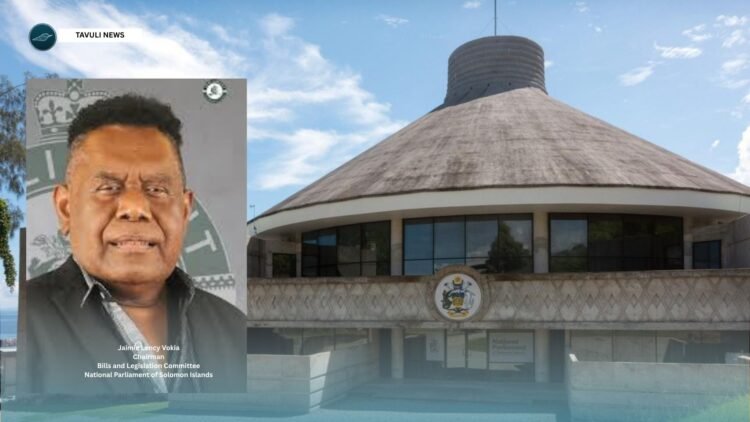 Jaimie Lency Vokia
Chairman
Bills and Legislation Committee
National Parliament of Solomon Islands