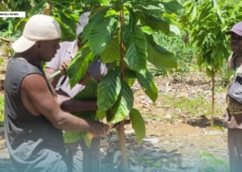 IPDM Cocoa Training For West Marovo Farmers Completed