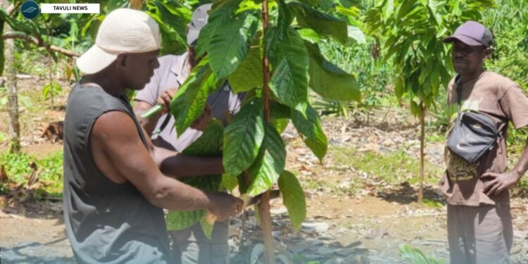 IPDM Cocoa Training For West Marovo Farmers Completed