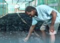 More than 14,000 local farmers benefitting from SIART’s support