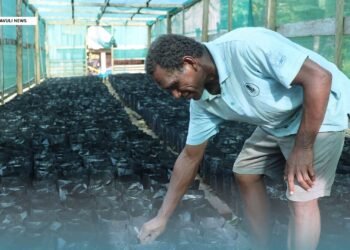 More than 14,000 local farmers benefitting from SIART’s support