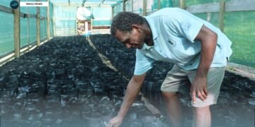 More than 14,000 local farmers benefitting from SIART’s support