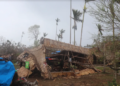 TWO TO THREE CYCLONES PREDICTED THIS SEASON