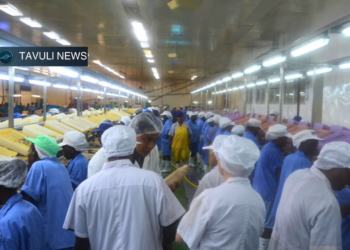 World Bank Warns of 800 Million Global Jobs Shortfall
