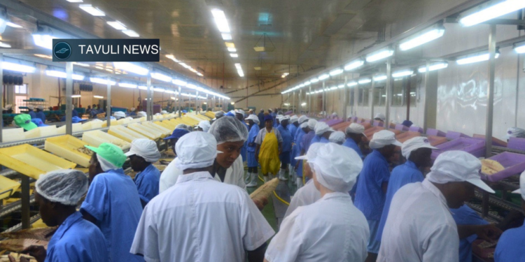 World Bank Warns of 800 Million Global Jobs Shortfall