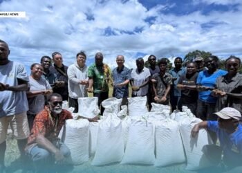 Dodo Creek Rice Trial Records First Harvest