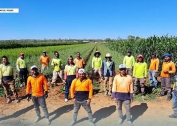 PALM Scheme Approved Employer Expo to Strengthen Labour Mobility Partnerships
