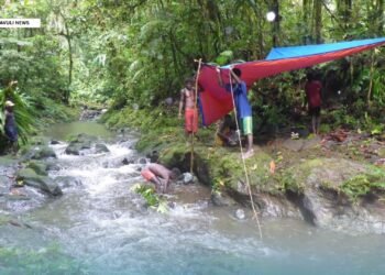 Babatana Rainforest Conservation Area Maintains Water Accessibility During the El Niño Drought Period.