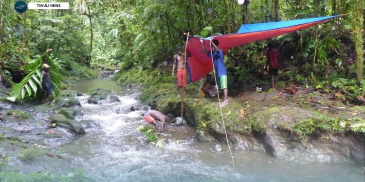 Babatana Rainforest Conservation Area Maintains Water Accessibility During the El Niño Drought Period.