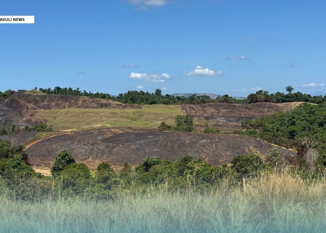 BUSHFIRES COULD EXPOSE HIDDEN WORLD WAR II BOMBS