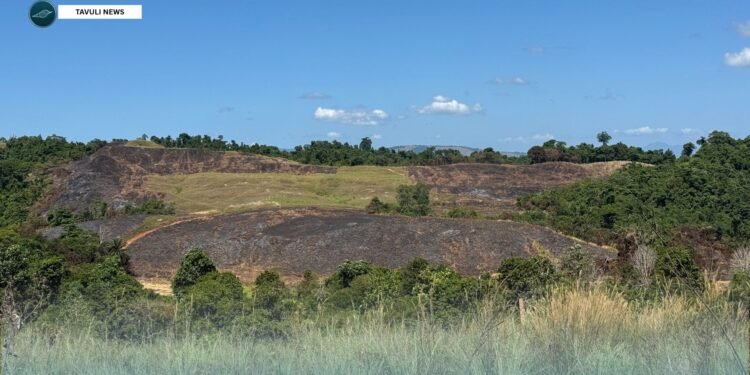 BUSHFIRES COULD EXPOSE HIDDEN WORLD WAR II BOMBS