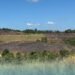 BUSHFIRES COULD EXPOSE HIDDEN WORLD WAR II BOMBS